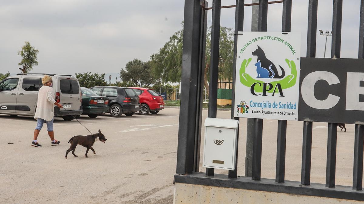 Centro de Protección Animal de Orihuela en una imagen actual