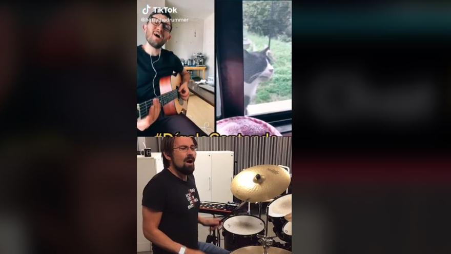 El gato cantor que se ha hecho viral en TikTok: &quot;Canta mejor que Bad Bunny&quot;