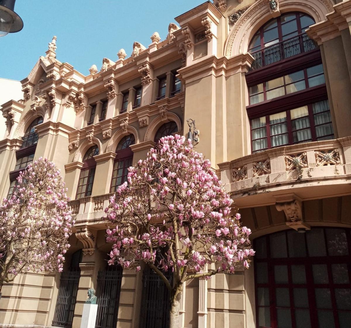 Ya es primavera en el teatro Palacio Valdés