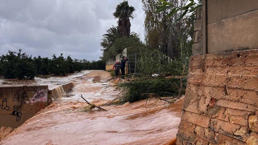 Los refugios y protectoras de animales de la Ribera lanzan un SOS ante las fuertes lluvias
