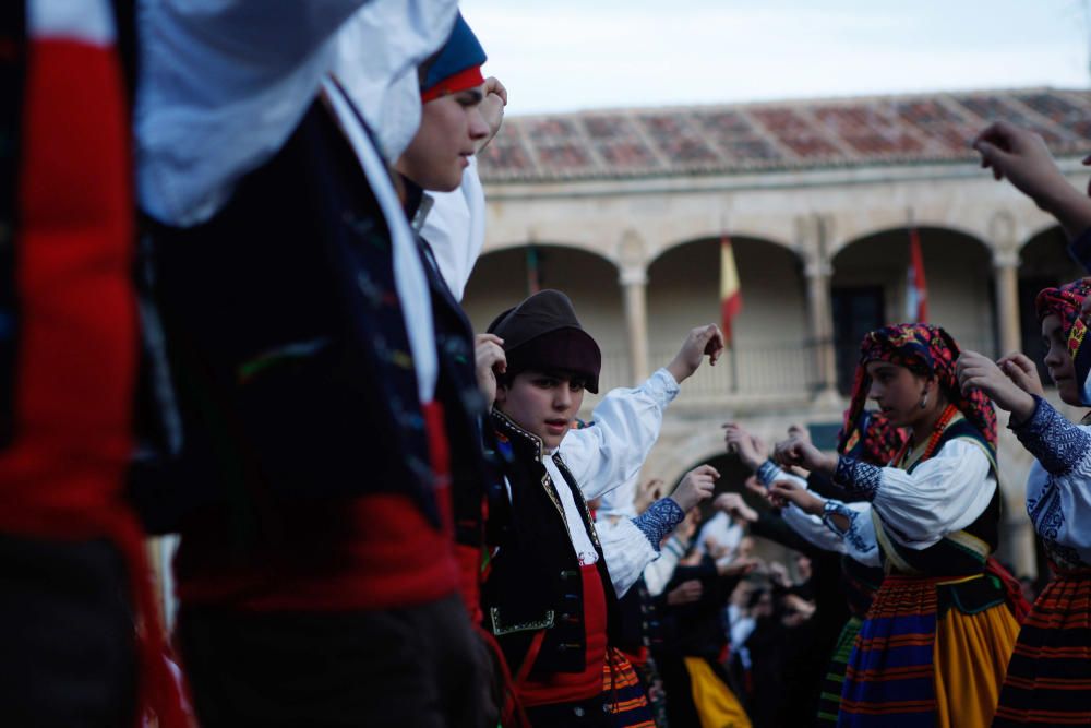 Celebración del Día de la Danza