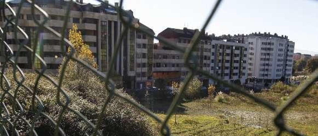 Zona de La Florida donde está previsto ubicar el pabellón.