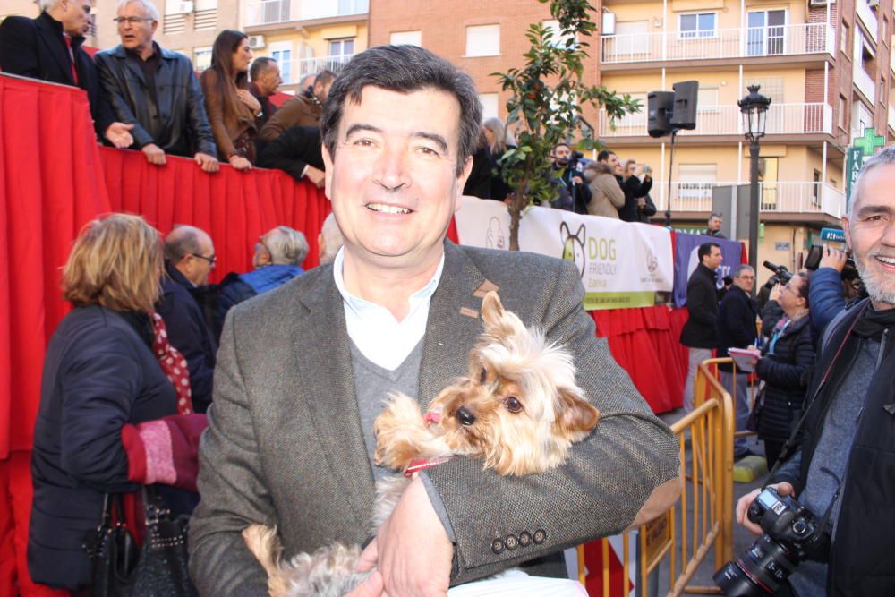 Fiesta de Sant Antoni en la ciudad de València