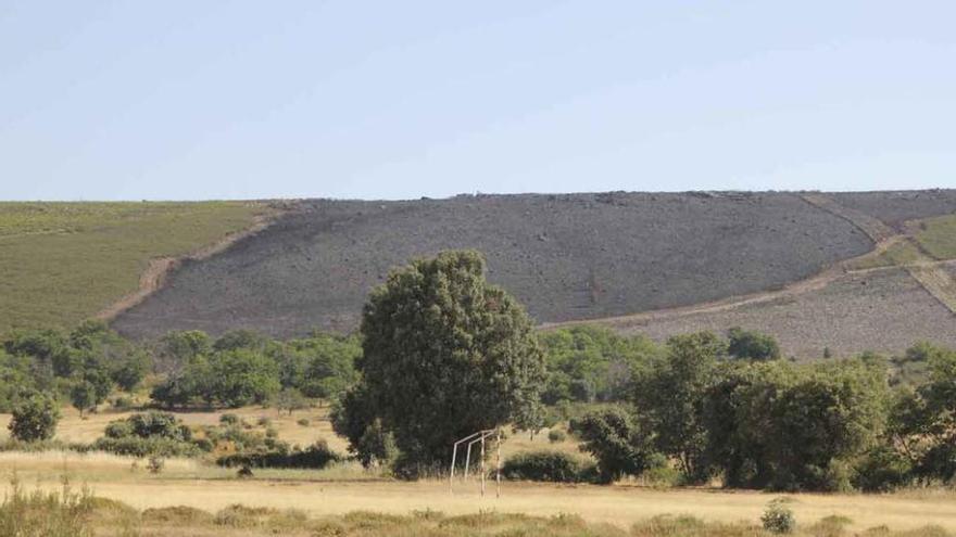 Parte del terreno arrasado por el incendio del domingo en Cabañas de Aliste.