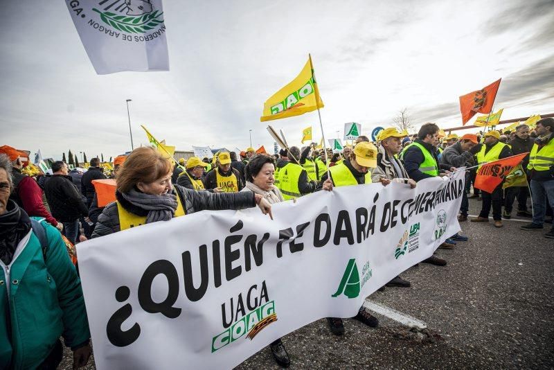 Manifestación de agricultores en Zaragoza