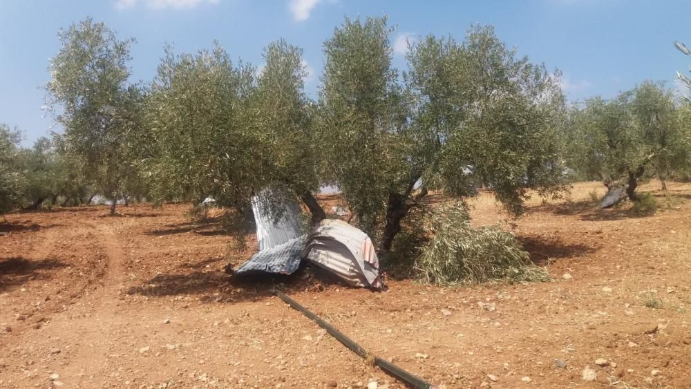 Daños provocados por el tornado en Campillos