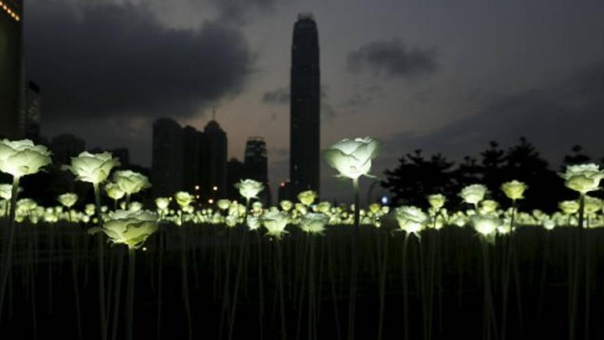 Hong Kong celebra San Valentín con un jardín de 25.000 rosas LED