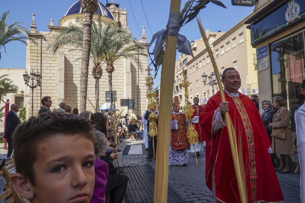 Domingo de Ramos en Orihuela