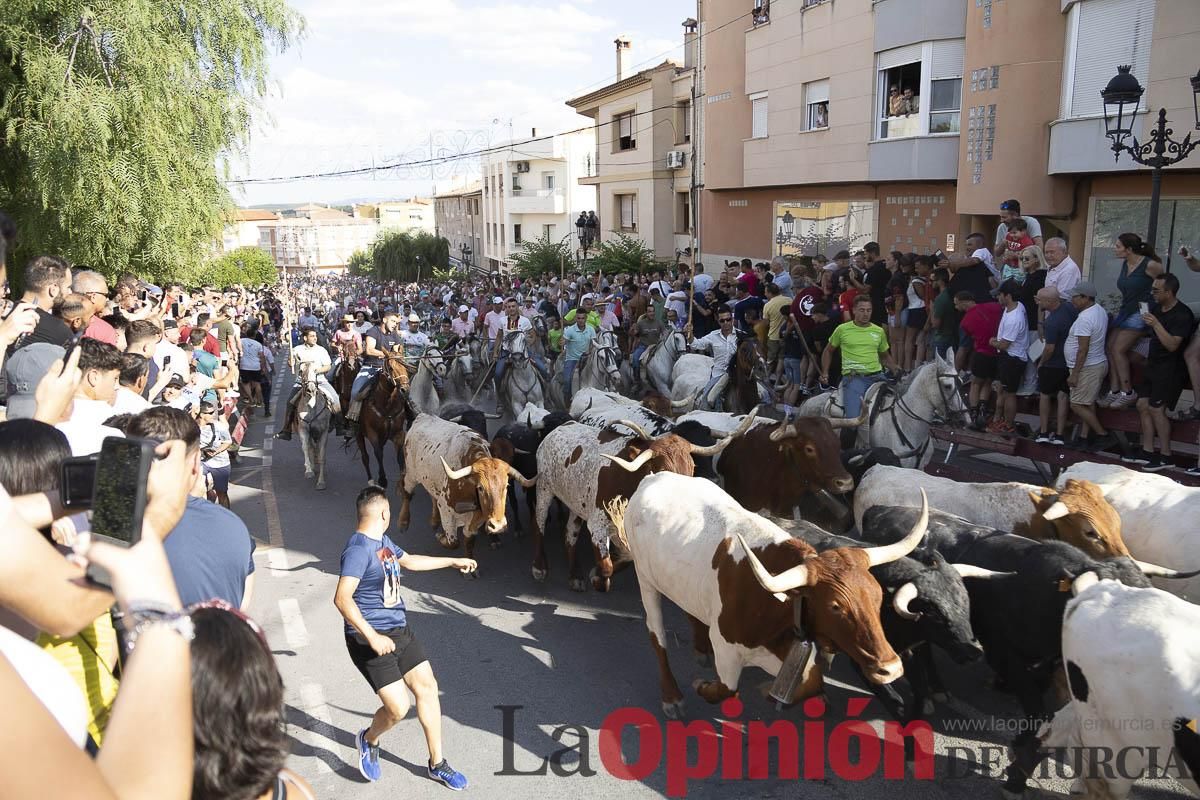 El segundo encierro de las Fiestas de Moratalla se salda con un herido
