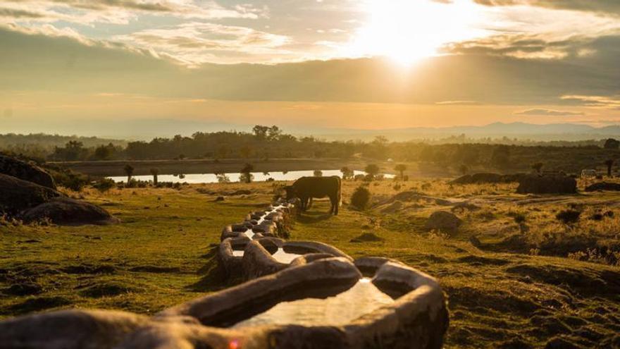 Las pilas del Valle del Buen Hombre, un tesoro etnográfico en Sierra de Gata