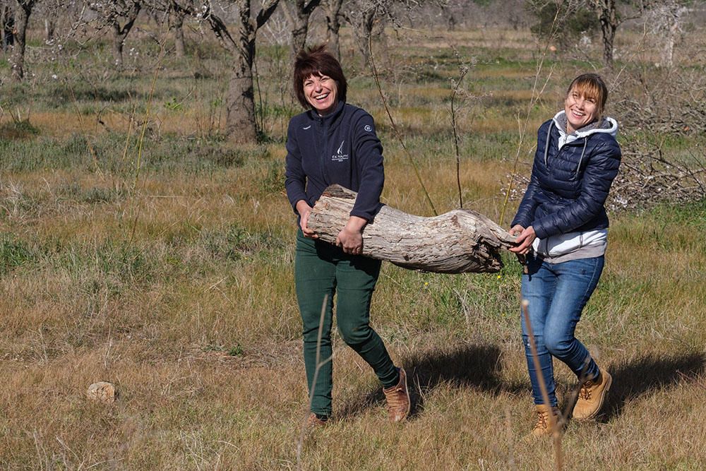 Recorrido histórico por los almendros de Corona