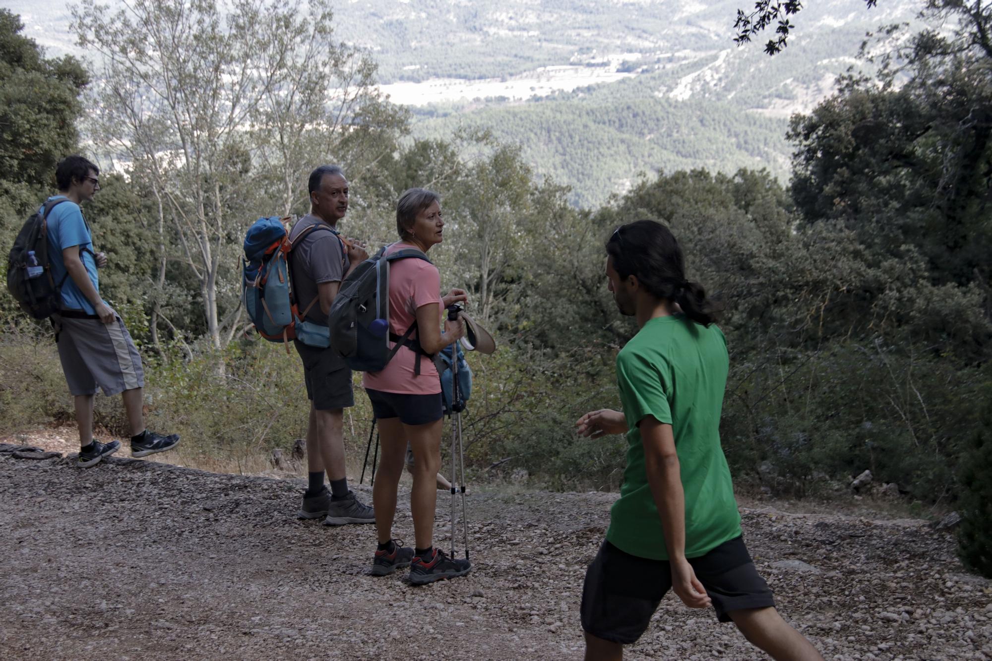 Alcoy vuelve a celebrar tres años después la romería de la Font Roja