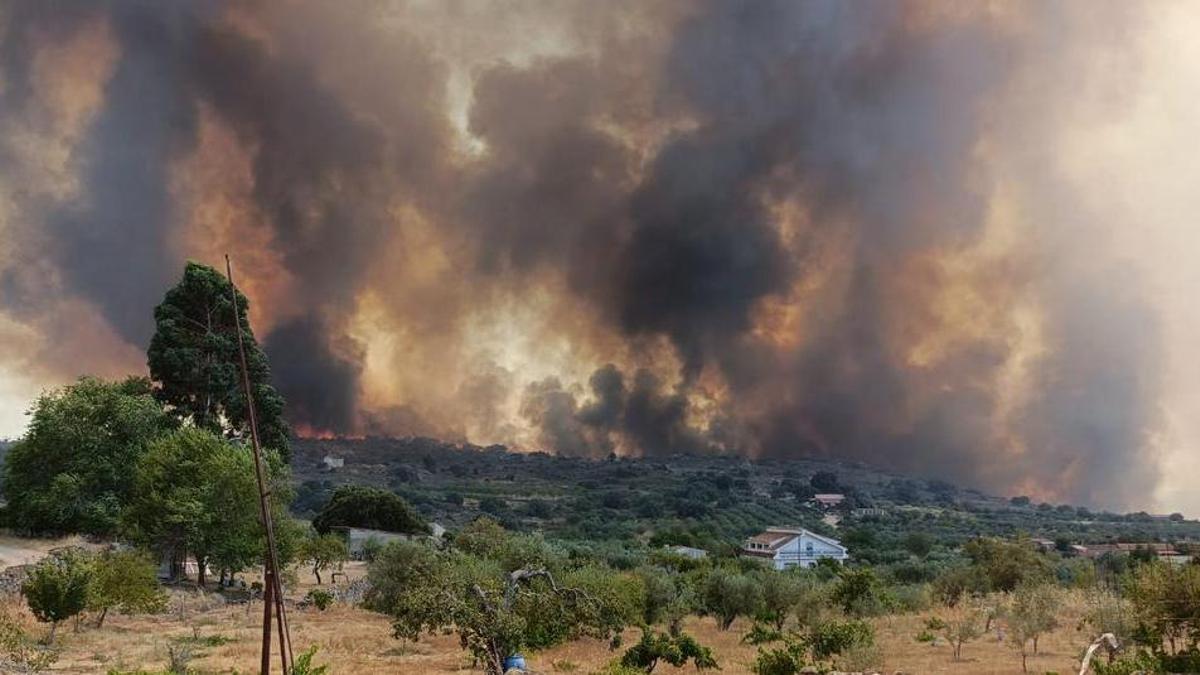 Incendio en Fermoselle el pasado mes de julio.