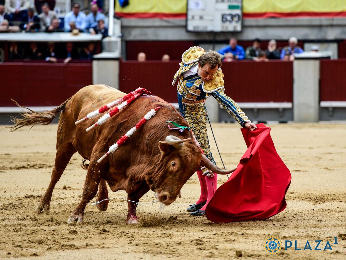 Largo natural de Román Collado al primer toro de Pedraza de Yeltes