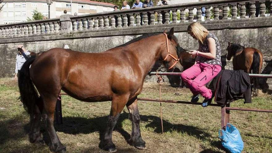 Una joven sentada junto a uno de los caballos que participaron en la feria.