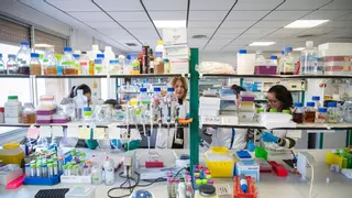 Canarias tarda ocho meses en transferir la subvención de los contratos predoctorales a las universidades