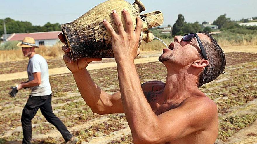 Un jornalero se hidrata durante la jornada de trabajo.