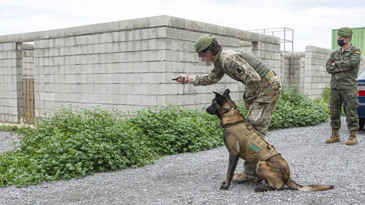 Un instructor se dispone a guiar con laser al perro en presencia del general jefe del MOE.