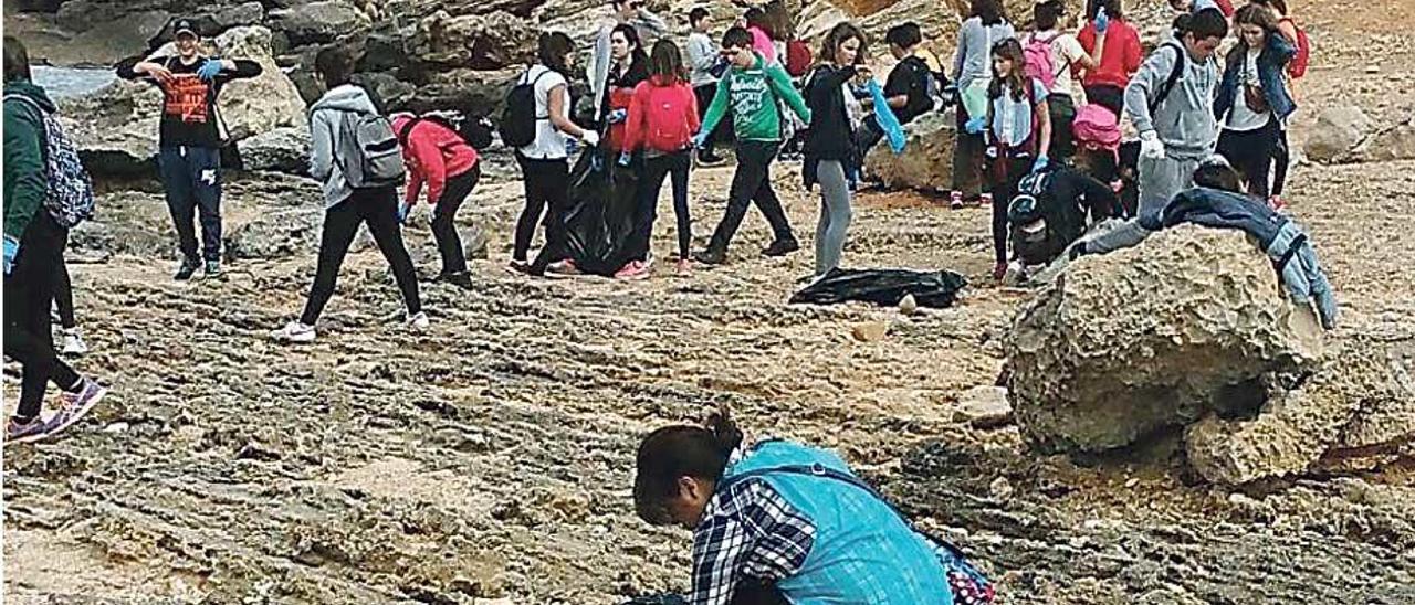 Estudiantes en plena actividad en la costa.