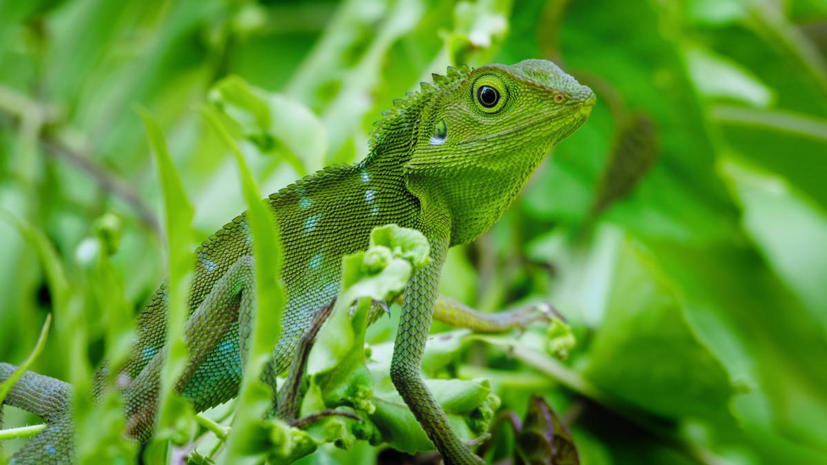 el-despertar-de-la-vida-5