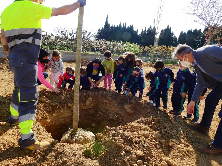 Setmana Cultural a l''escola Josep de Ribot i Oliva