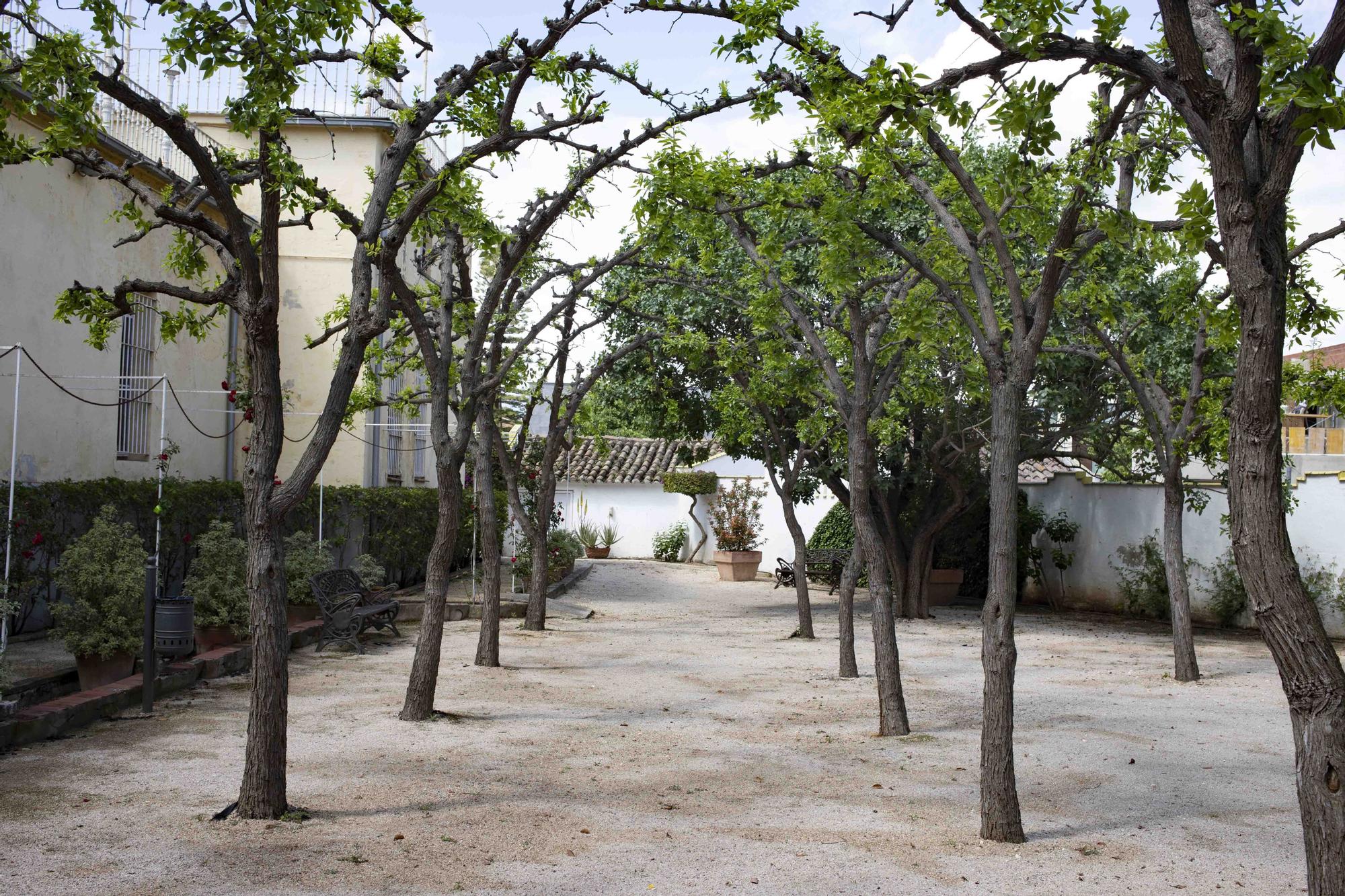 Lucha biológica en "Los Jardines del Palasiet" de Xàtiva