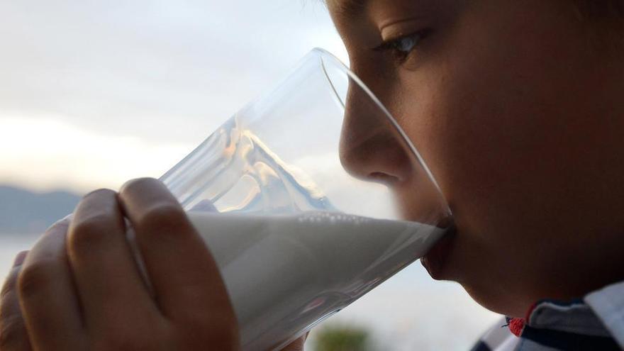 Atención a las frutas la leche y el queso