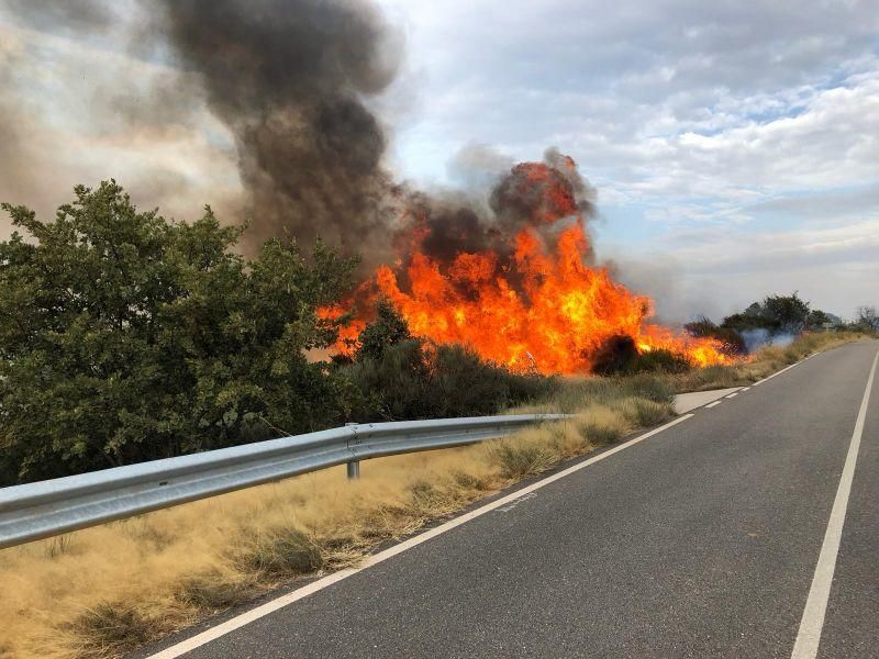 Imágenes del incendio forestal de Grisuela.