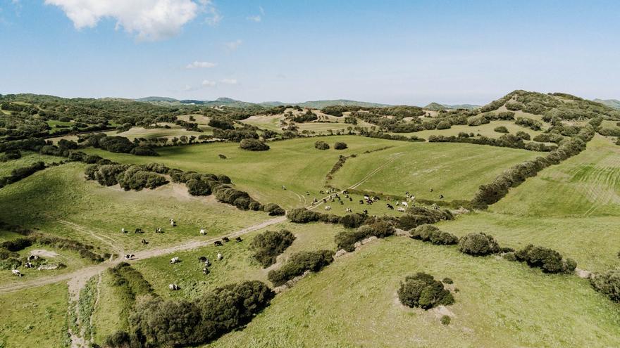 Menorca, un caso de éxito