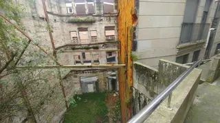 Vecinos denuncian la presencia de ratas en pleno centro de Vigo