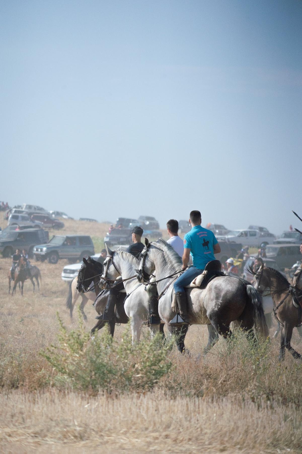 GALERÍA| Multitudinario encierro de campo en Moraleja del Vino GALERÍA| Multitudinario encierro de campo en Moraleja del Vino