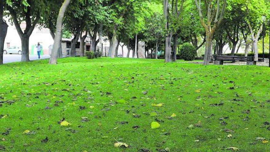 Un jardín público. | LOZ