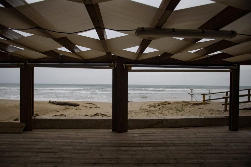 Las playas de Elche están desérticas