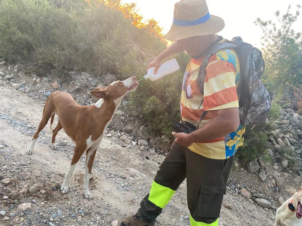 Antonio da de beber a un perro mientras pasea por el monte.