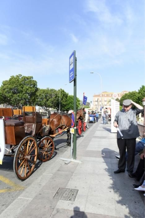 Ruta en carro al corazón de la Huerta