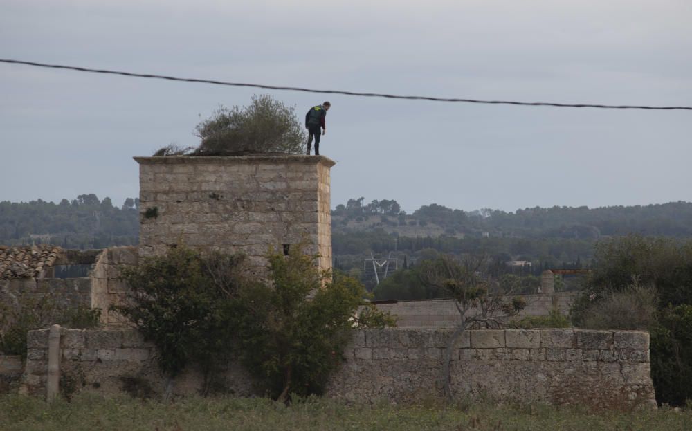 Más de 20 detenidos en una gran operación antidroga en Mallorca y la península