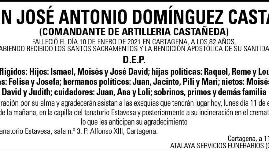 D. José Antonio Domínguez Castañeda