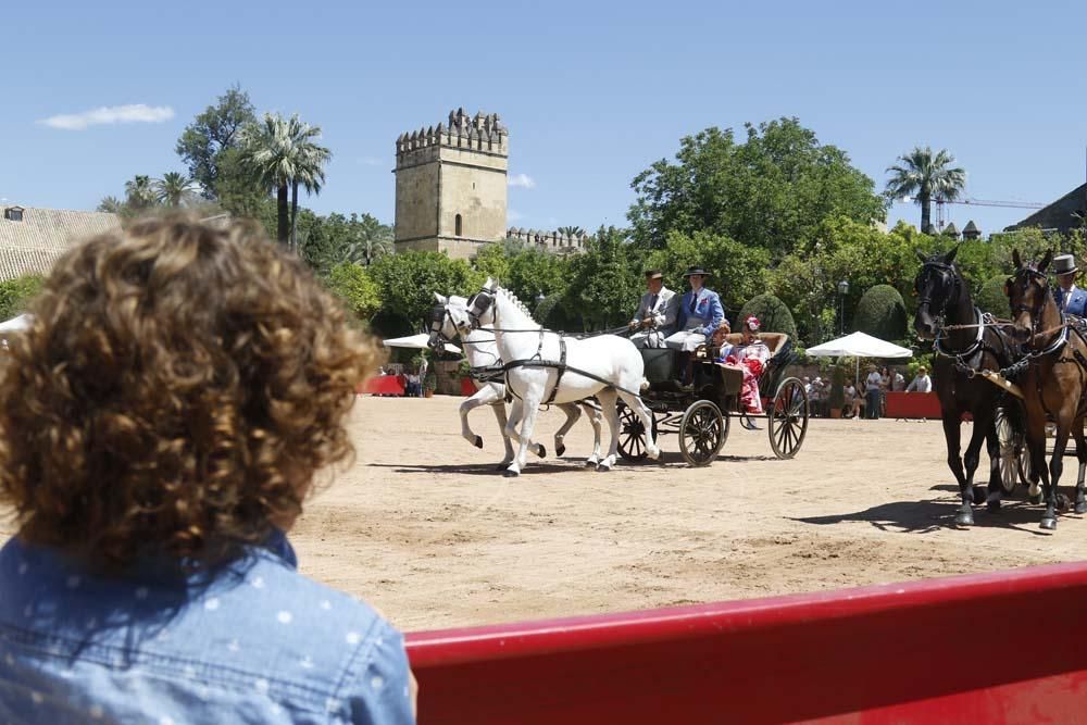 Exhibición de carruajes de tradición en El Arenal