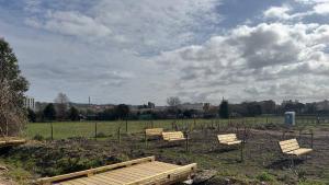 Vista d’un espai recuperat de les Hortes de Santa Eugènia.