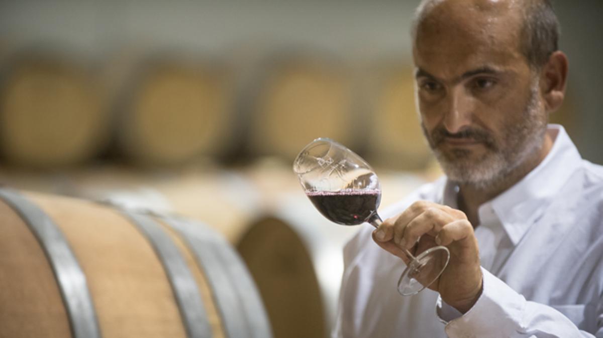 Dominio de la Vega tiene 5 etiquetas de vinos que se han convertido en referente en la zona.