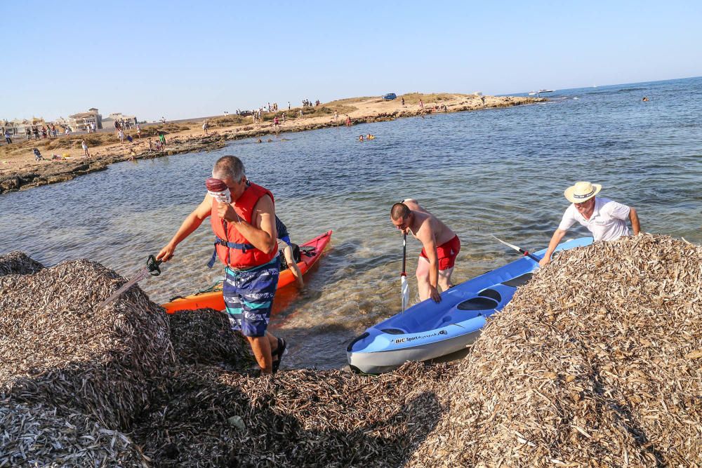 Protesta contra el muro de Ferrís en Torrevieja