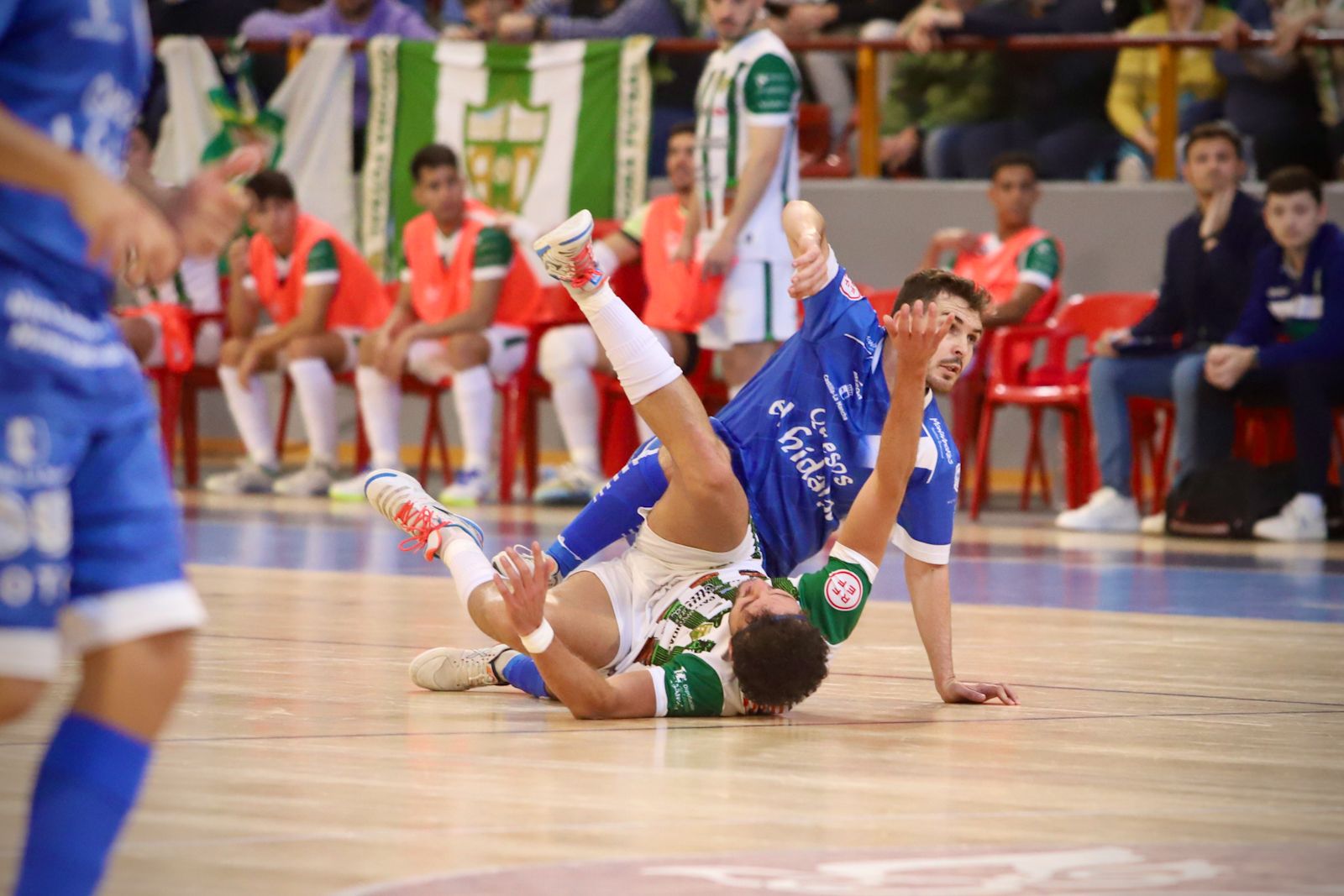 Córdoba Futsal - Manzanares : el partido en Vista Alegre en imágenes