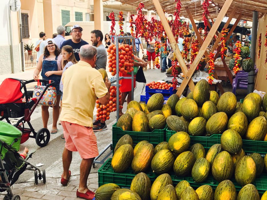 Un melón de 18,4 kilos gana el tradicional concurso de Vilafranca