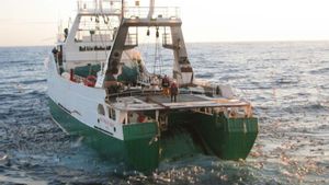 Brussel·les retalla un 67% els fons a la pesca i revoluciona el sector