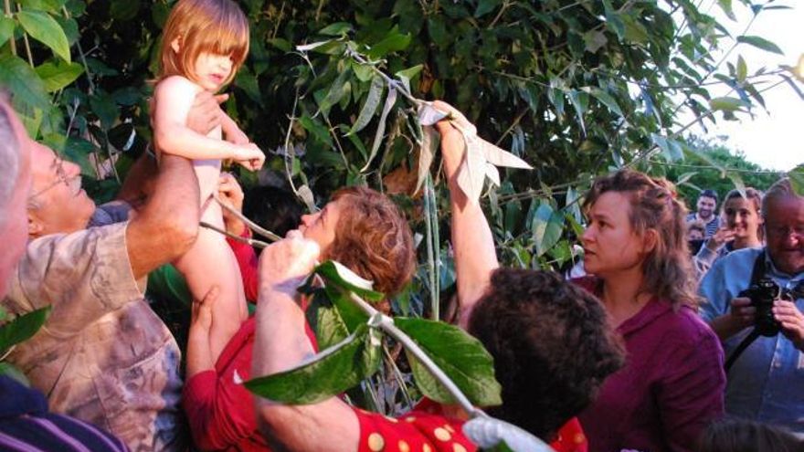 En orden estricto de llegada fueron pasando después por el árbol.