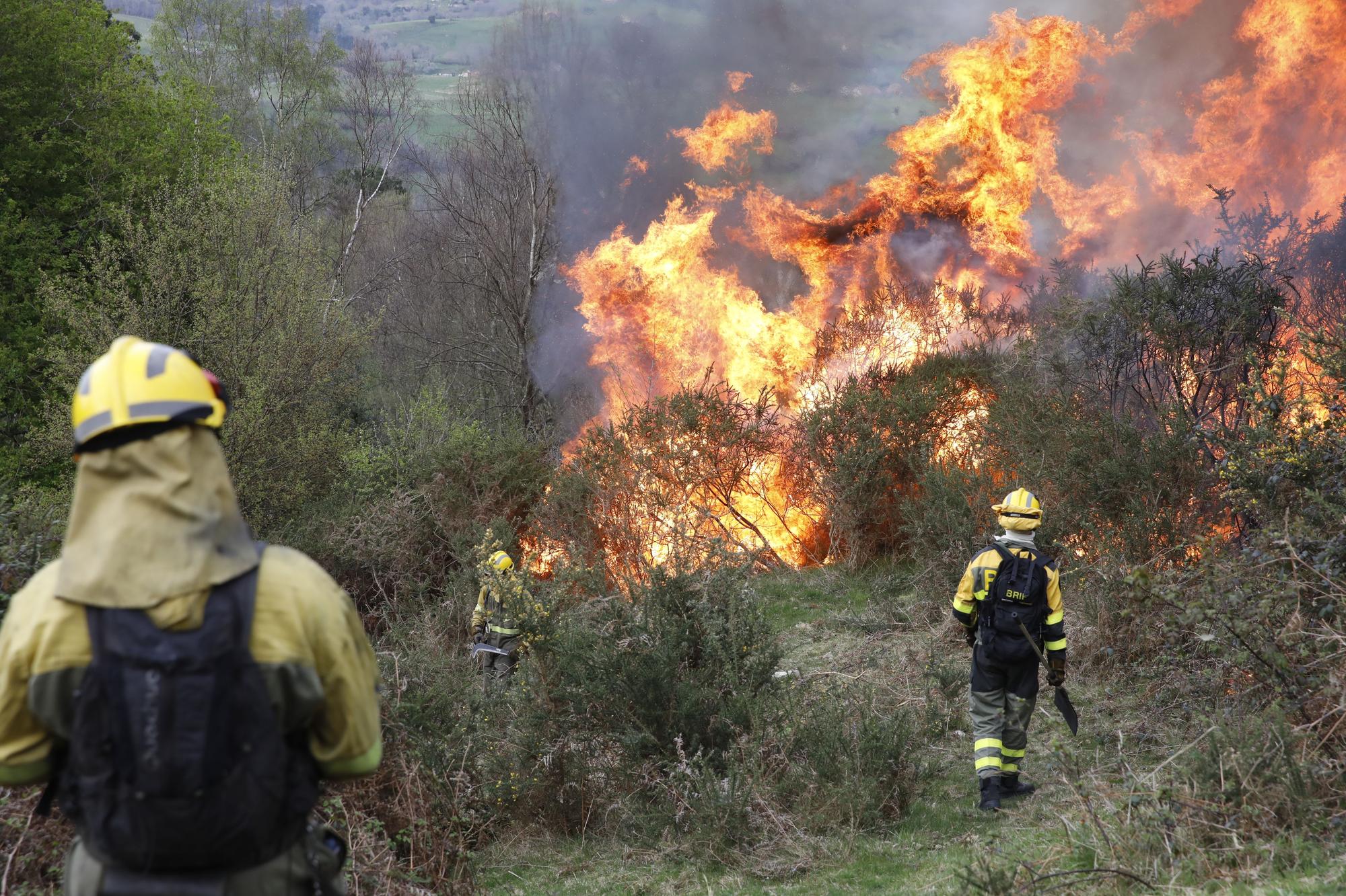 La lucha contra el fuego en el incendio entre Nava y Piloña