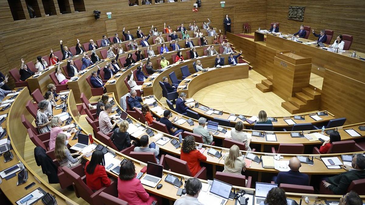 Momento en el que PP y Vox votan a mano alzada en el pleno de las Corts de esta semana.