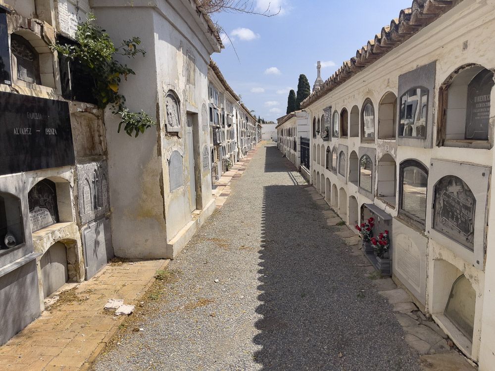 Asignaturas pendientes en los cementerios de Sagunt