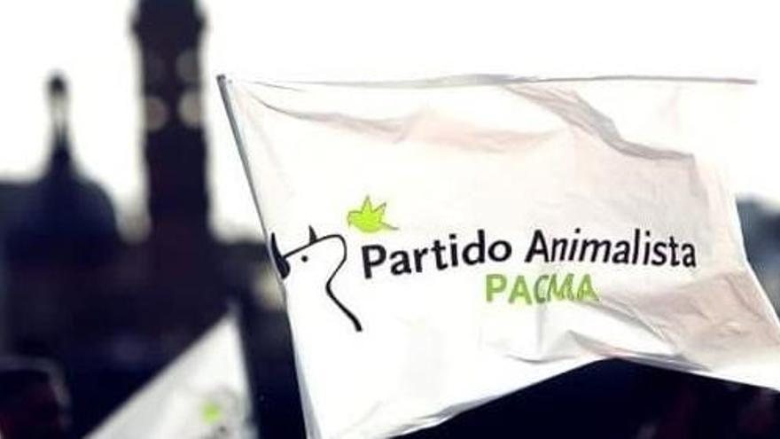 Bandera del Partit Animalista  (PACMA)