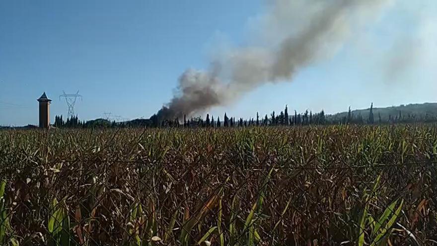 Arde la planta de Gemersa en Torrent